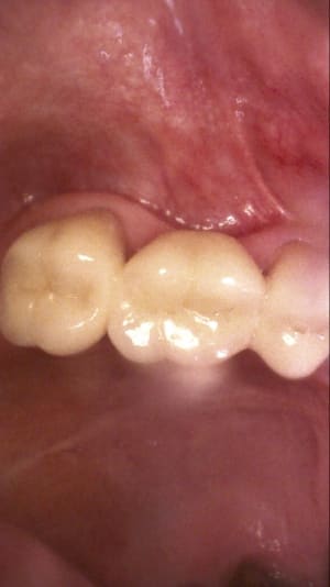 Scwzj3pmz74thwxbhezf - Eugenol