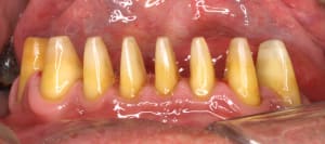 Ss24yl06xv84rdyklox206b80jku - Eugenol