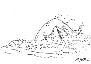 Swiming poules dovrfl - Eugenol