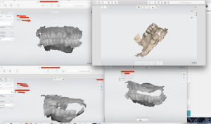 T6drmmdiet1u5j4jwdsd - Eugenol