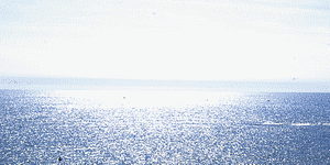 Travellings pzlhy1 - Eugenol