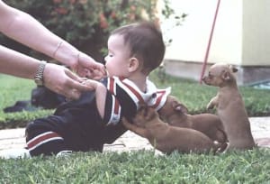 Trop mignon noipns - Eugenol