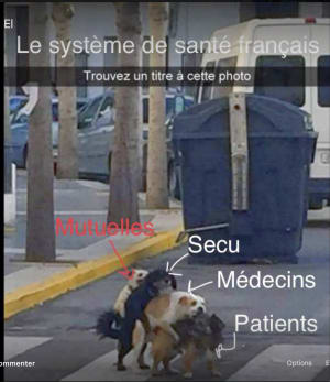 U29ss7nttrvrb6drdml4 - Eugenol