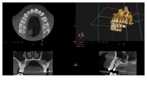 Wbkoi0vdscja2g2juf0n8dl5h8k0 - Eugenol