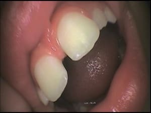 Yasmine 2 kg7rvl - Eugenol