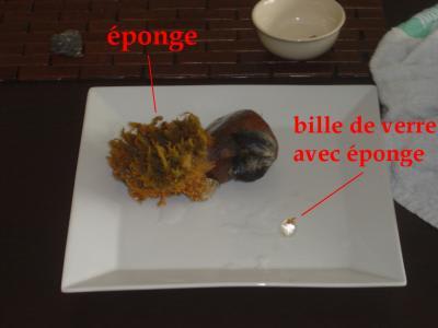 Éponge 1 ym1odt - Eugenol