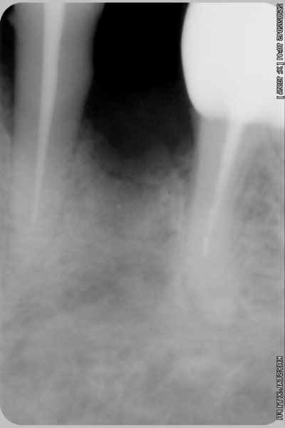 015copier g6dw6t - Eugenol