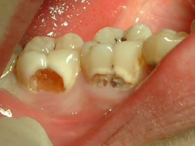 04120803 nohmup - Eugenol