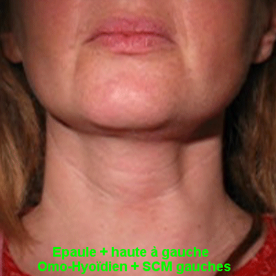 04 oh scm pjiu8l - Eugenol