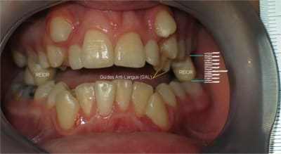 050712 dsd1 16a gimbxd - Eugenol