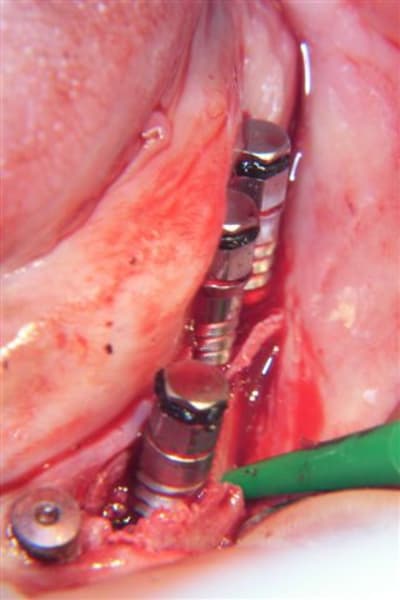 100 0621 xvhvq7 - Eugenol