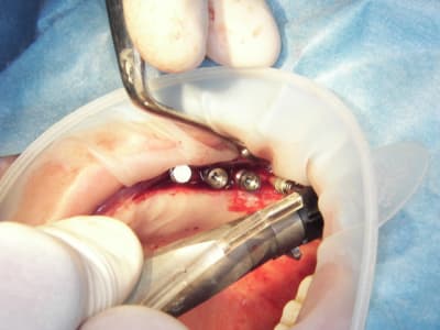 100 4588 vjv28e - Eugenol