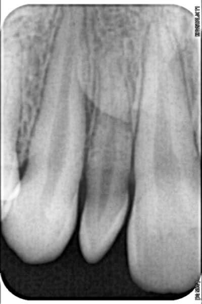 12 m2vvwb - Eugenol