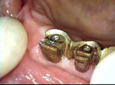 1798bis lmhvq0 - Eugenol