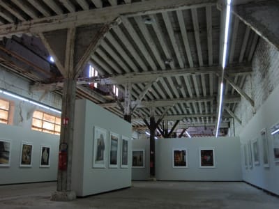 20100717 arles 029 ce6muw - Eugenol