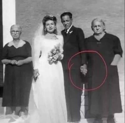 2ootdxtaw1uysb3ldky8c8ic5l6j - Eugenol