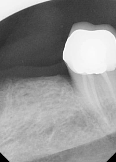 3pspm3eg5fiotvag81z31xdostjz - Eugenol