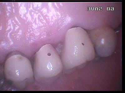 445 xukec2 - Eugenol