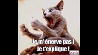 526x297 jvm utulzk - Eugenol