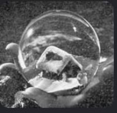 5o23h5rbcty328ifjf3q6gltu1wn - Eugenol