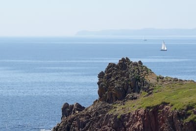 7717 6 pz6sze - Eugenol