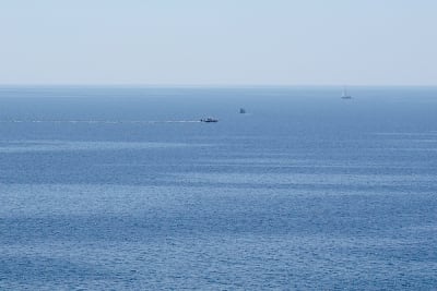 7756 6 lprqud - Eugenol