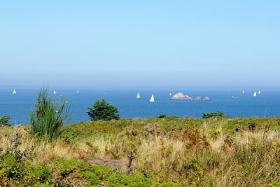 8136 6 gjgqna - Eugenol