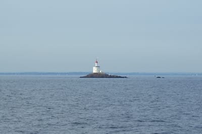 8197 6 eyls7i - Eugenol