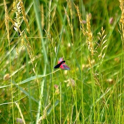 9360 400 m760cv - Eugenol