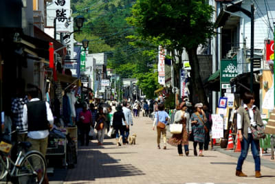 As3 zcxzvh - Eugenol