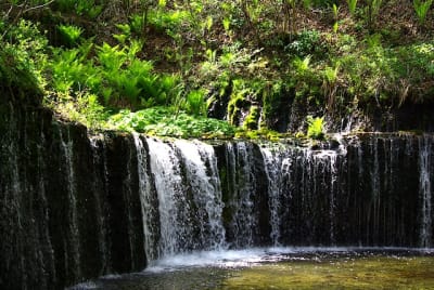 As4 1 c5dv4a - Eugenol