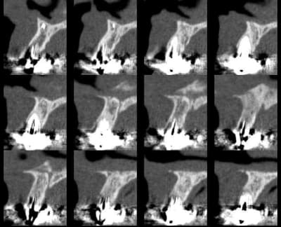 B0007 smvzb6 - Eugenol
