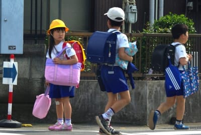 Bkg  8  snb0tk - Eugenol