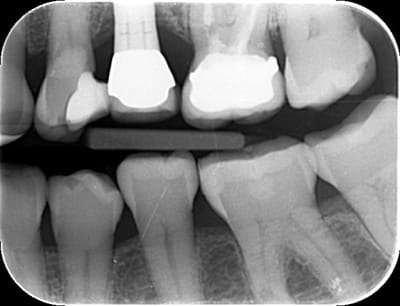 Cittadini cesi marie laure 04012016 101604 kpidyw - Eugenol