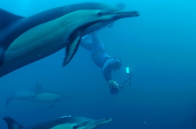 Capture d  cran 2010 11 29   08.14 - Eugenol