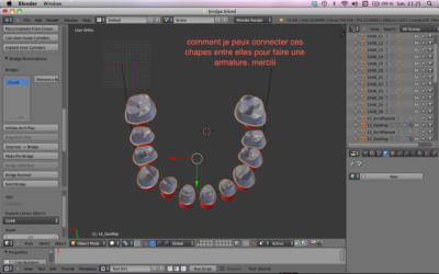 Capture d  cran 2013 12 16   21.25 - Eugenol