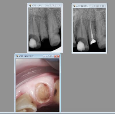 Capture d écran 2017 02 14 20.57 - Eugenol