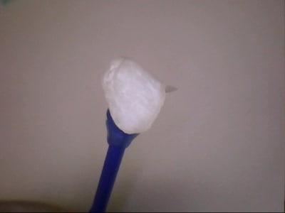 Caval 20120214 13 19 - Eugenol