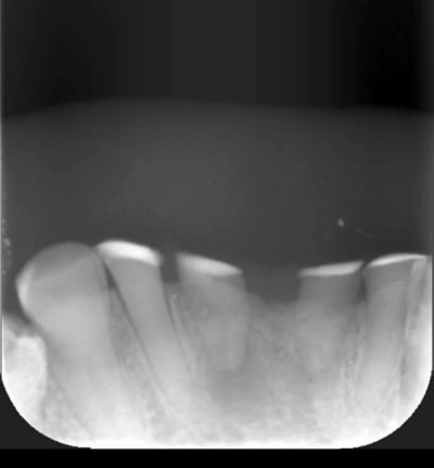 D6f39595 1045 4856 acb4 3096afe088d5 kk6sbh - Eugenol