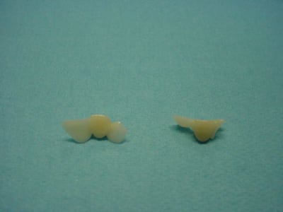 Dsc00089 nurt6y - Eugenol