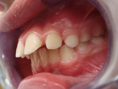 Dsc00780 dolc9m - Eugenol