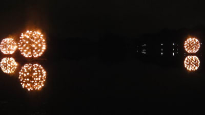 Dsc01243 gwo0he - Eugenol