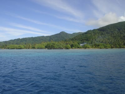 Dsc03641 w907t5 - Eugenol