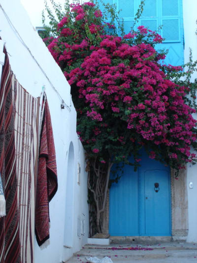 Dsc04615 zgeqhh - Eugenol