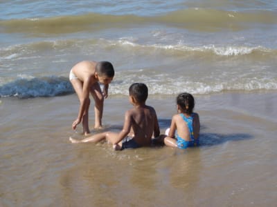 Dsc04628 vconni - Eugenol