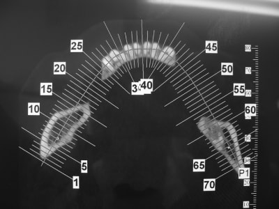 Dsc05913 uy3vzj - Eugenol