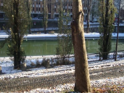 Dsc06430 amnwlc - Eugenol