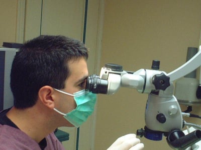 Dscf0086 ggcvke - Eugenol