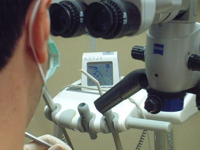 Dscf0090 qmi66a - Eugenol