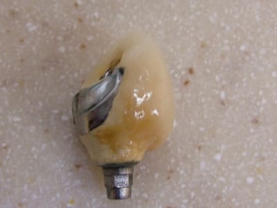 Dscf0193 x8pesp - Eugenol